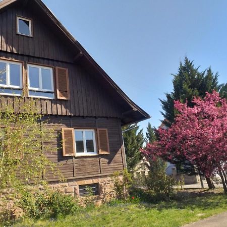 Apartamento A La Vieille Faience Wintzenheim Exterior foto